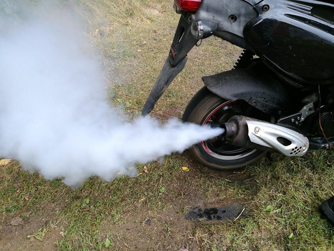 PGO PMX - Kræs for kendere billede 9