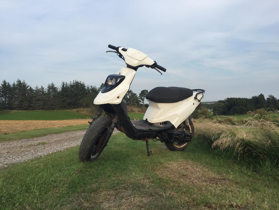 PGO Hot 50 billede 3