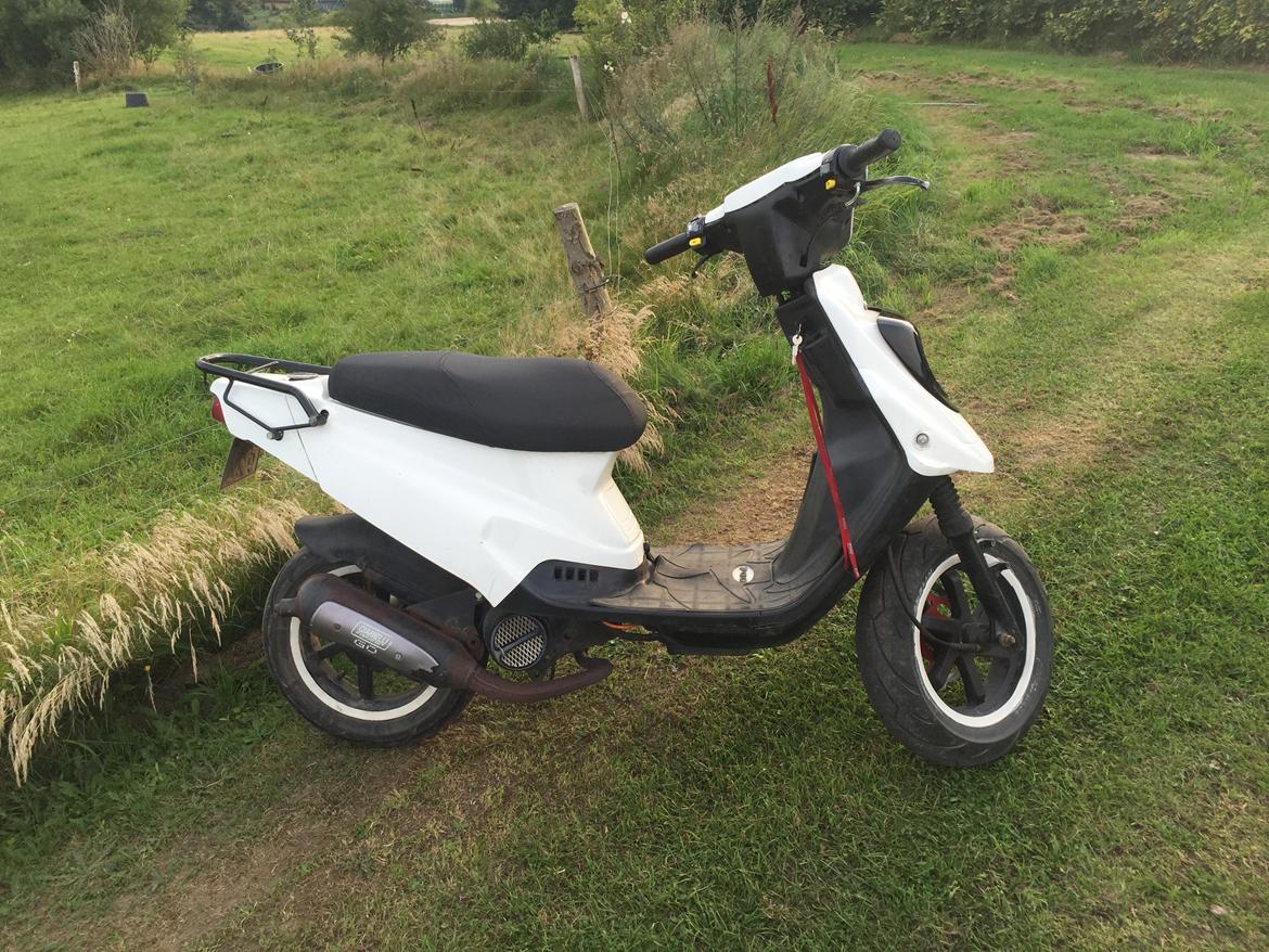 PGO Hot 50 billede 6