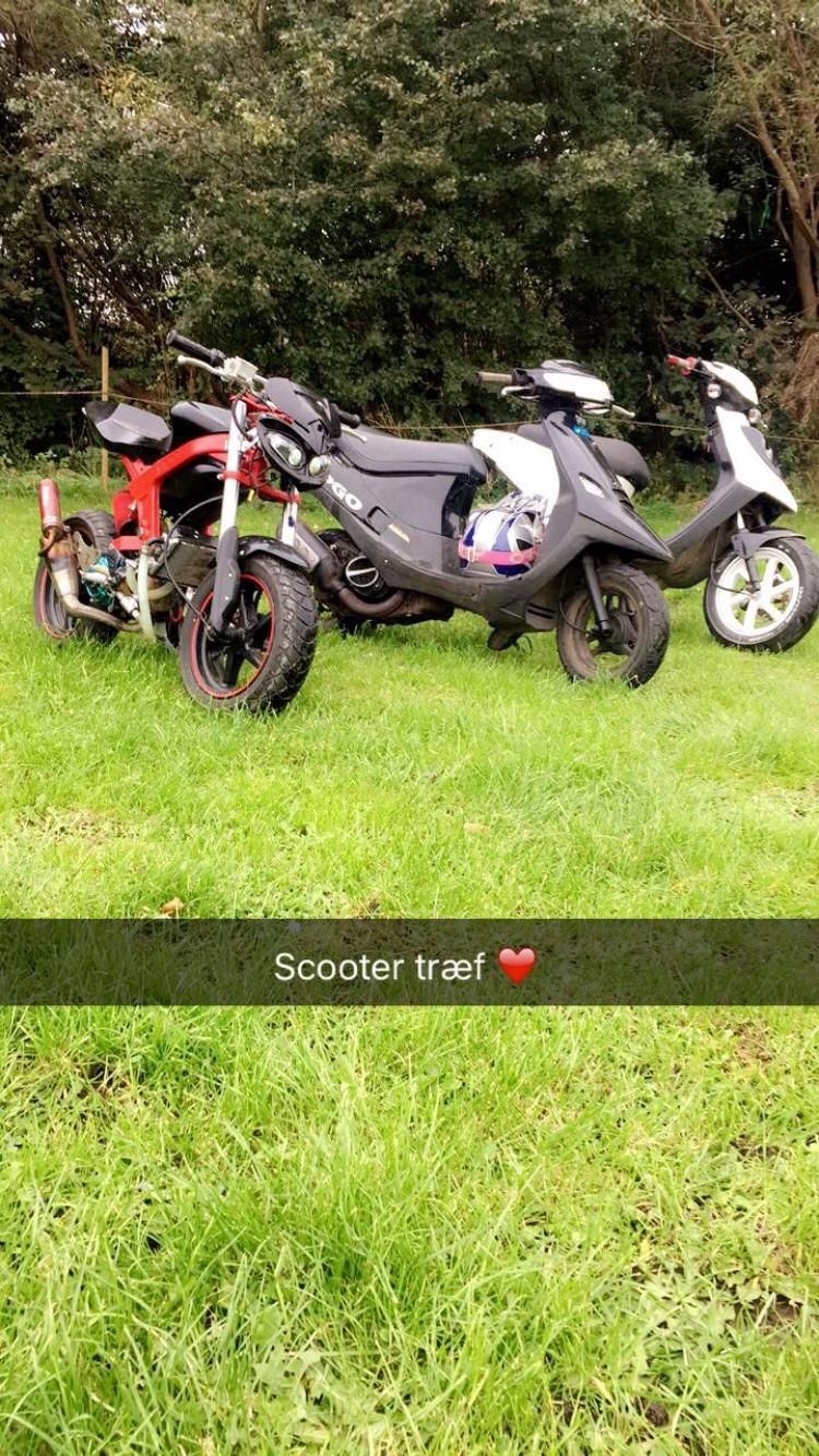 Suzuki Street-rox billede 18