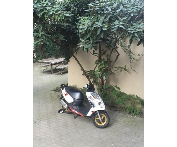 Aprilia Sonic Gp  billede 2