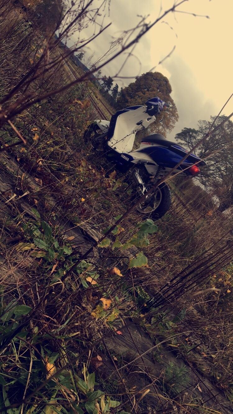 Yamaha Jog R billede 6