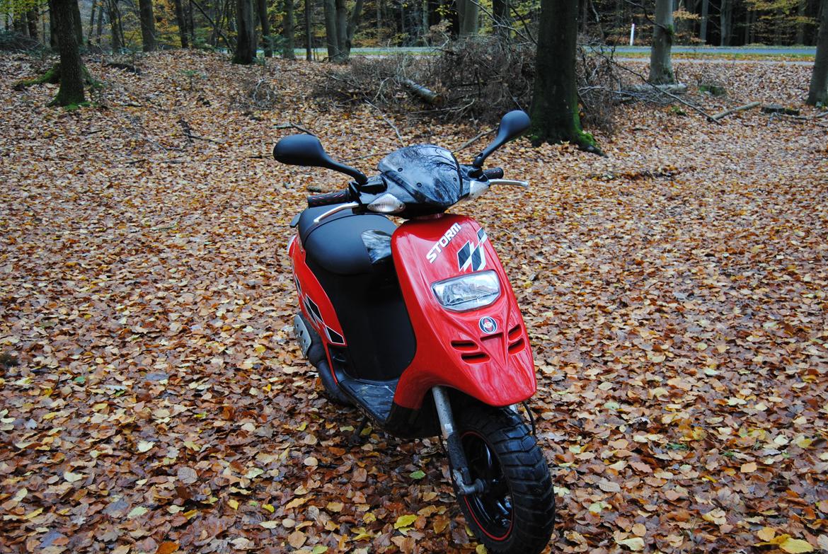 Gilera Storm billede 2