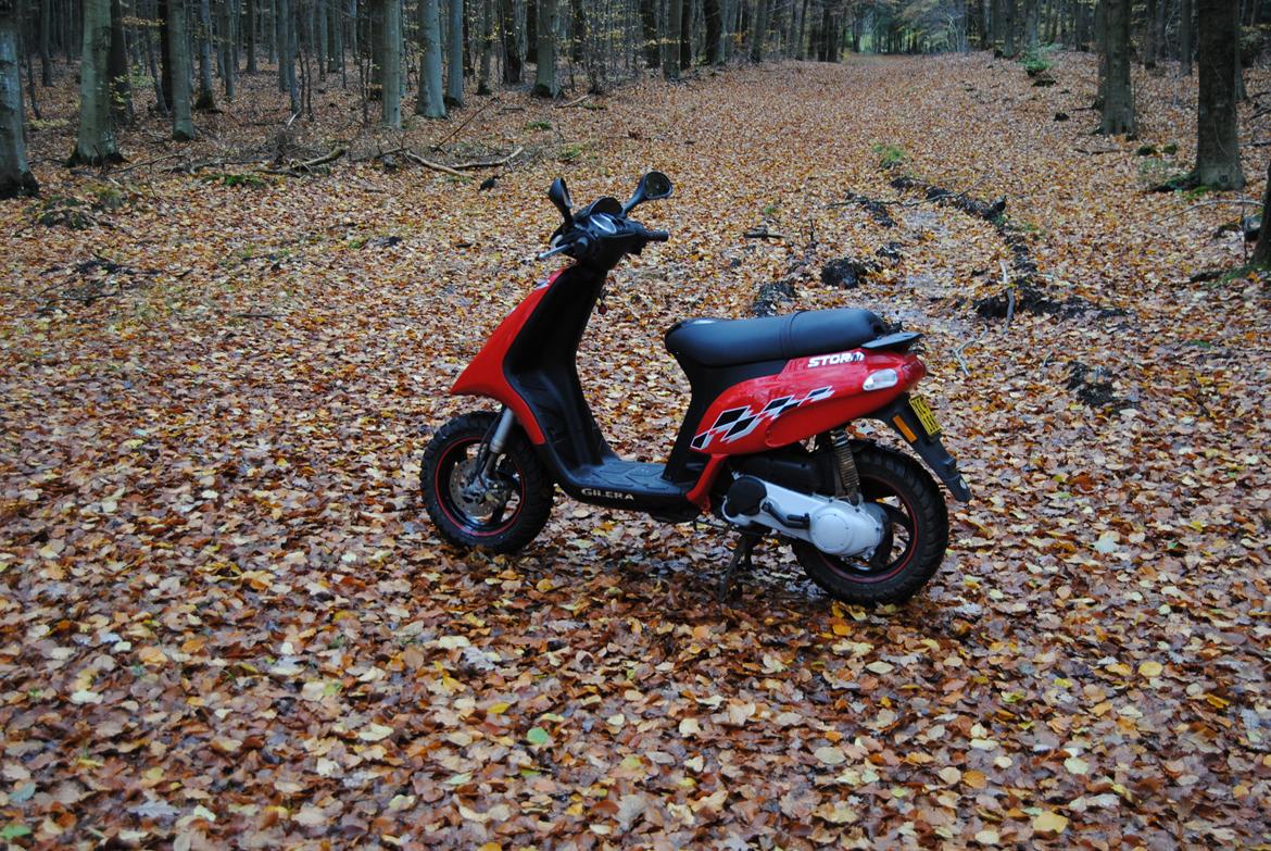 Gilera Storm billede 3