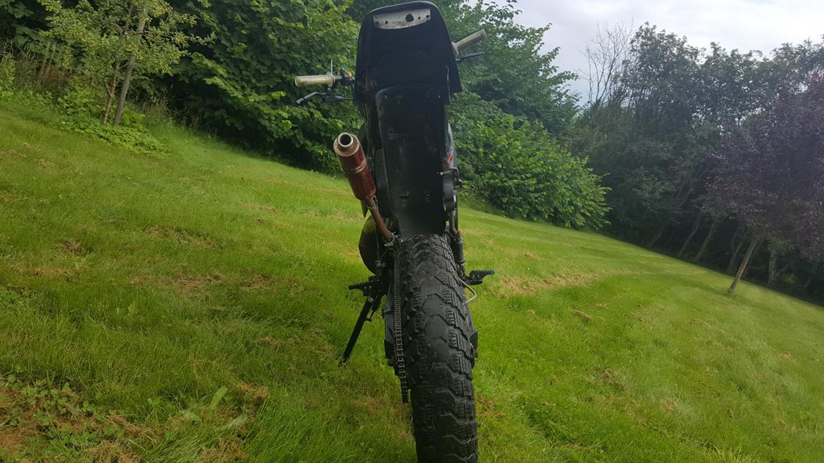 Suzuki SMX billede 3