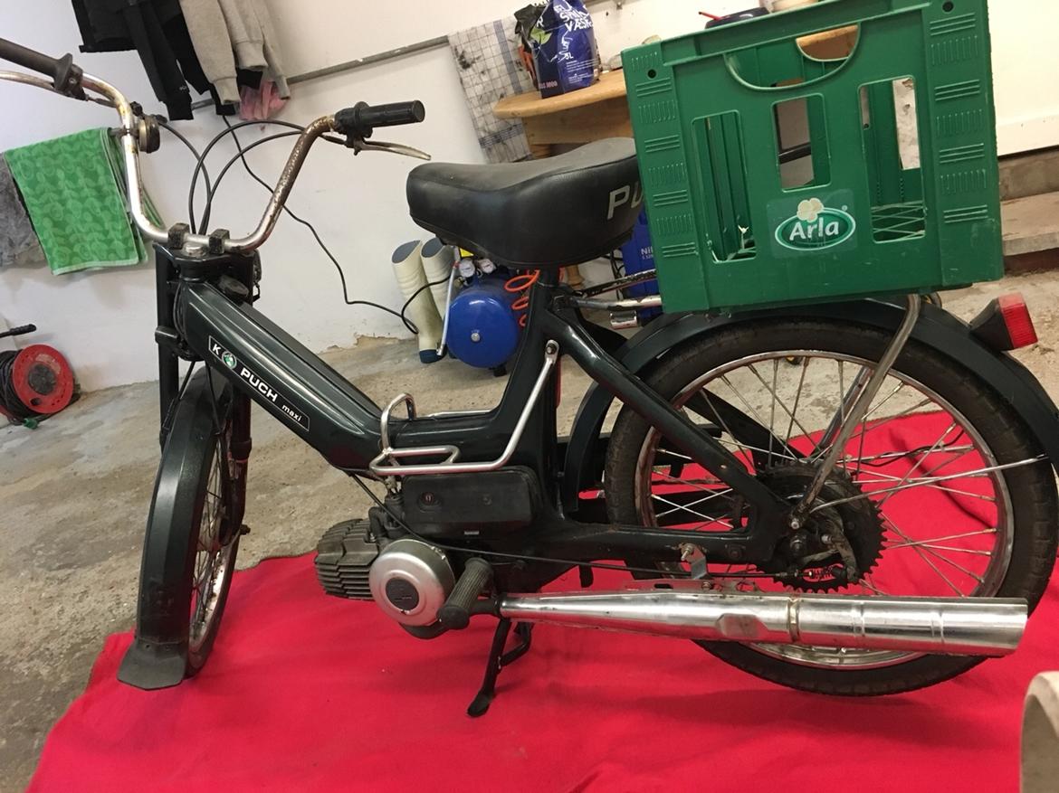 Puch Maxi billede 8