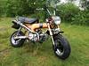 Honda dax