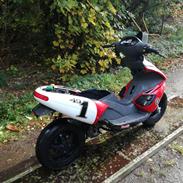 Benelli 491Racing superbike edition Lc DD