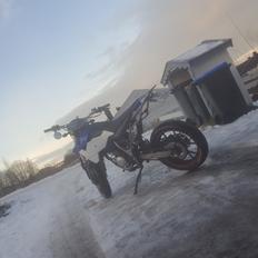 Generic Trigger 50 sm