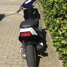 PGO HOT 50 10" 3 eger