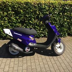 PGO HOT 50 10" 3 eger