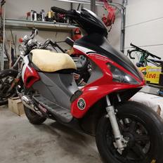 Benelli 491Racing superbike edition Lc DD