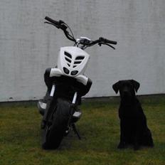 Yamaha Slider / Stunt