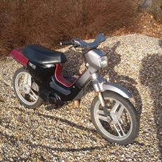 Honda Wallaroo (SOLGT)