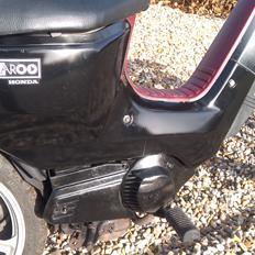 Honda Wallaroo (SOLGT)