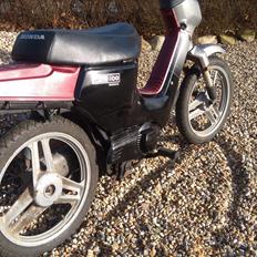 Honda Wallaroo (SOLGT)