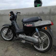 Honda Wallaroo (Trofast) SOLGT: (