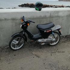 Honda Wallaroo (Trofast) SOLGT: (