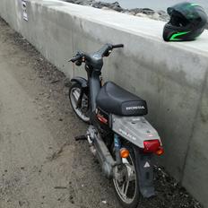 Honda Wallaroo (Trofast) SOLGT: (