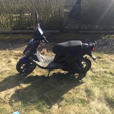 PGO Hot 50 PMPS 6 eger (SOLGT)