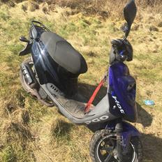 PGO Hot 50 PMPS 6 eger (SOLGT)