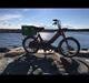 Puch maxi n