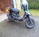 PGO Hot 50