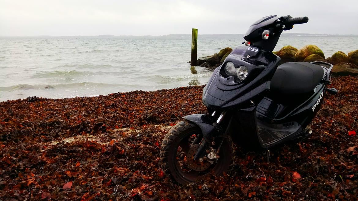 PGO Pgo hot 50 billede 1