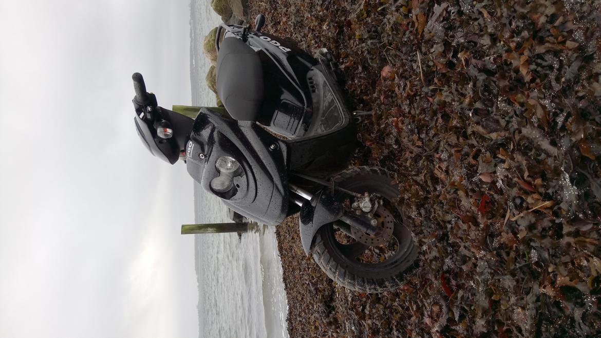 PGO Pgo hot 50 billede 4