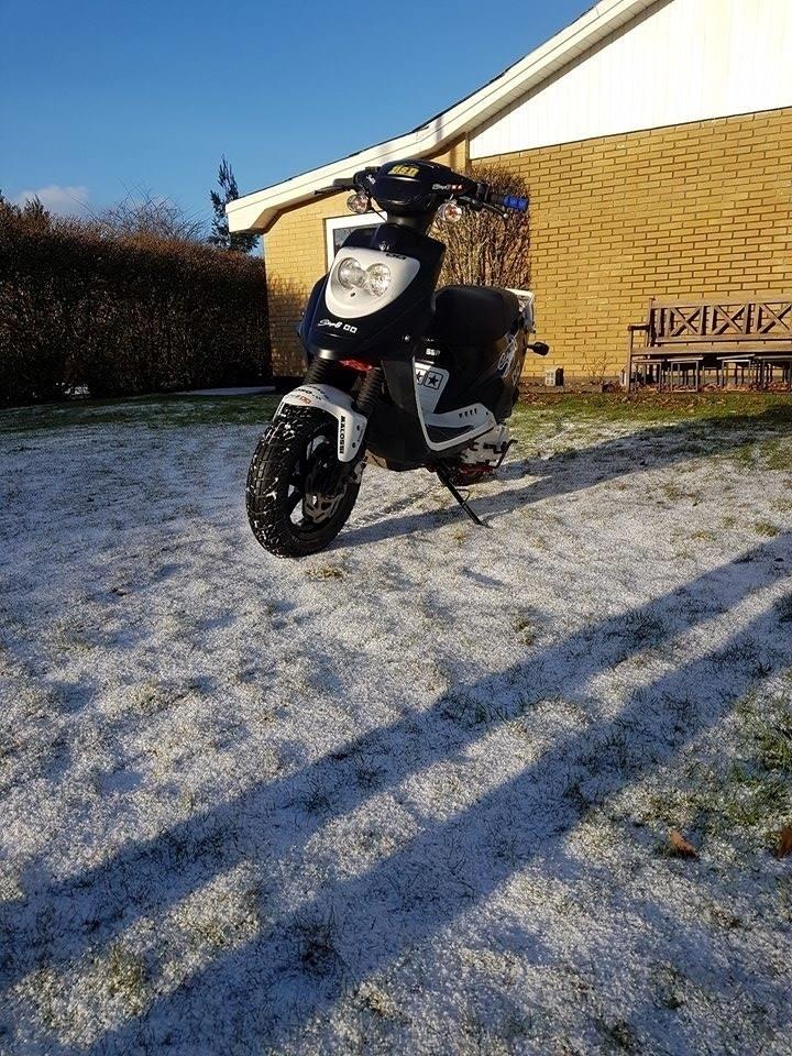 PGO Hot 50 billede 4