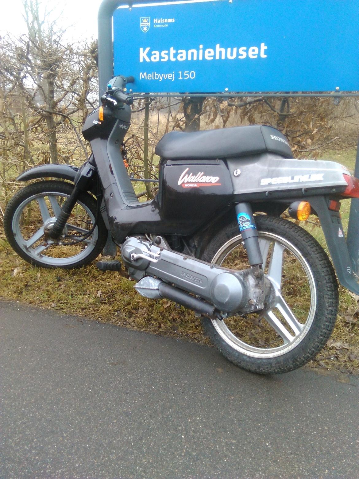 Honda Wallaroo (Trofast) SOLGT: ( billede 5