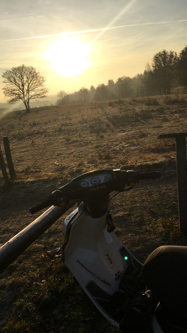 PGO Hot 50 billede 7