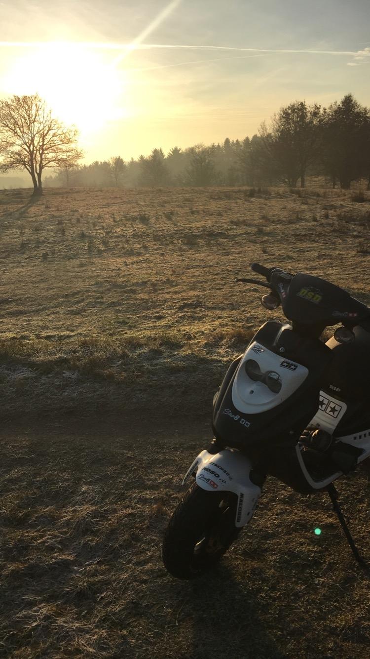 PGO Hot 50 billede 8