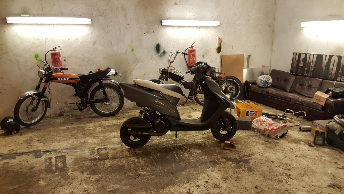 Honda Sfx - (læks sfx) billede 6