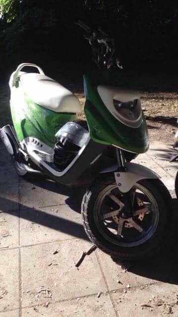 PGO Hot 50 12" billede 1