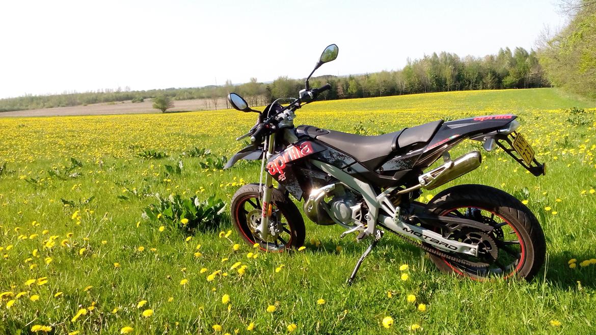 Aprilia Sx billede 5