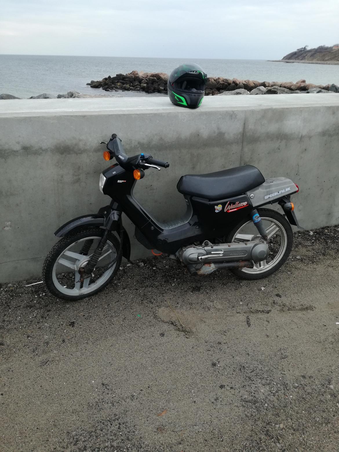 Honda Wallaroo (Trofast) SOLGT: ( billede 2