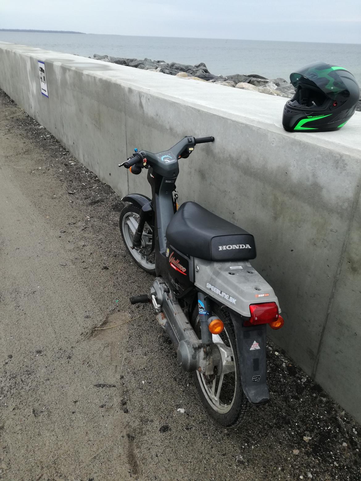 Honda Wallaroo (Trofast) SOLGT: ( billede 3