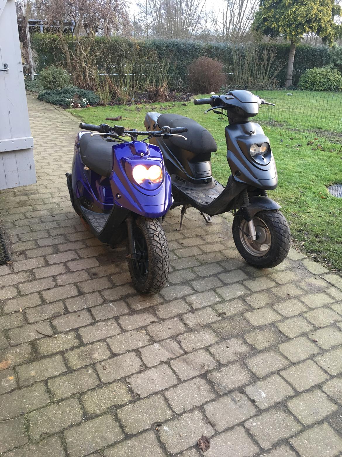 PGO Hot 50 billede 8