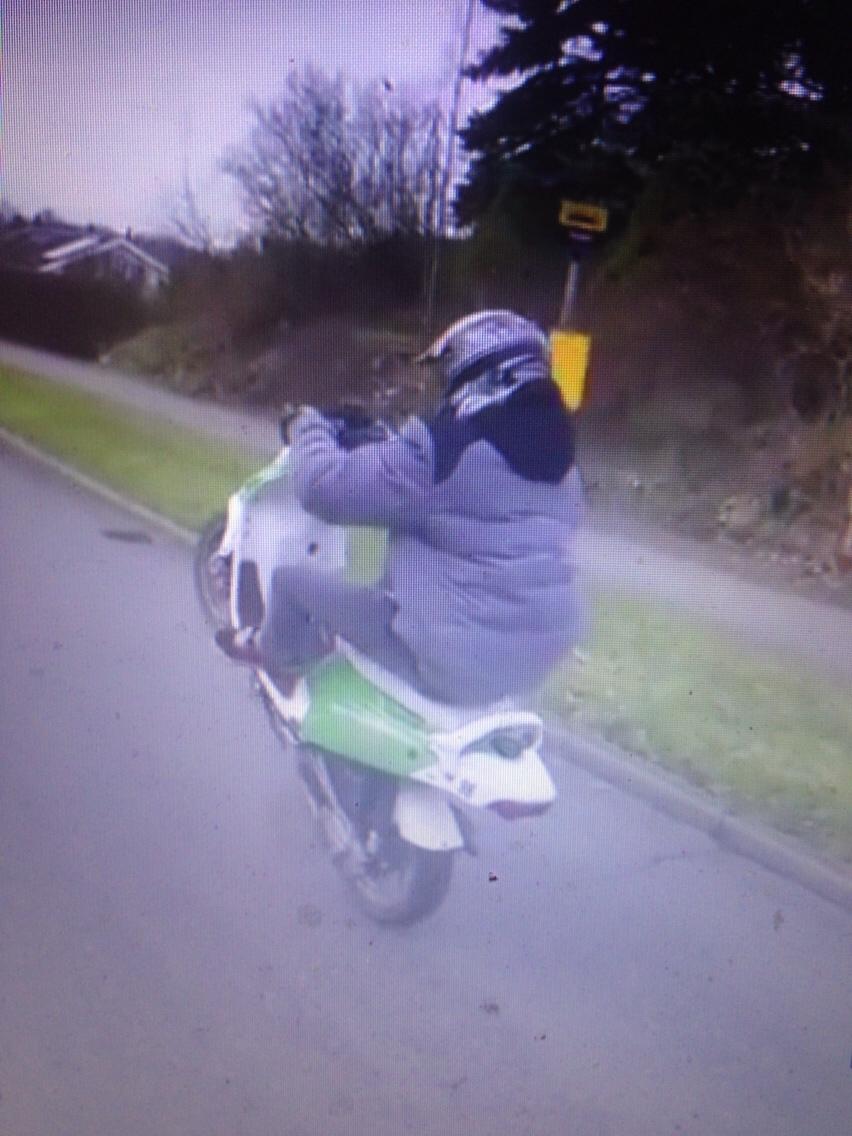 PGO Hot 50 12" billede 6