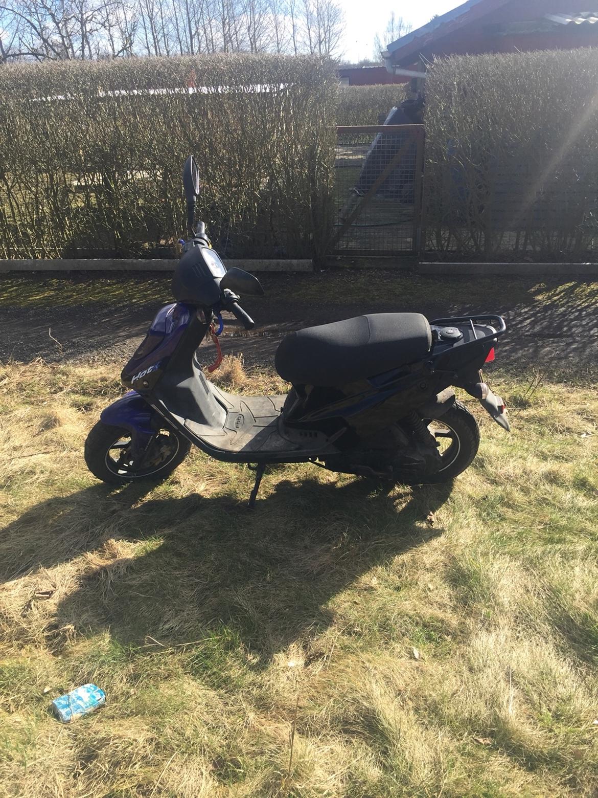 PGO Hot 50 PMPS 6 eger (SOLGT) billede 1