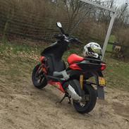 Aprilia sr 50 factory ditech