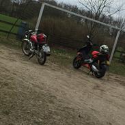 Aprilia sr 50 factory ditech