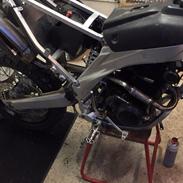 Apollo Orion   Rx 50 a36