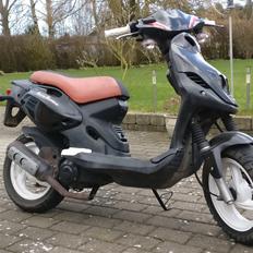 PGO PMX