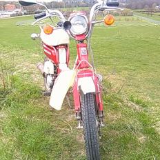 Suzuki FZ 50 100% STD!