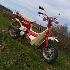 Suzuki FZ 50 100% STD!