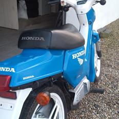 Honda Wallaroo restureret.