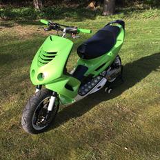 Peugeot SpeedRox BigBore