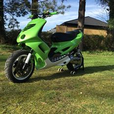 Peugeot SpeedRox BigBore